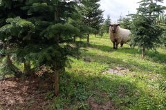 IMG_20230325_112426-min-scaled