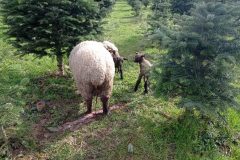 IMG_20230325_143400-min-scaled