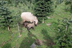 IMG_20230325_143414-min-scaled