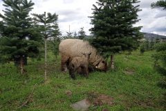 IMG_20230325_143423-min-scaled