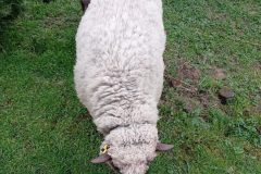 IMG_20230401_093143-min-scaled