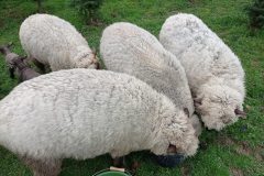 IMG_20230401_093157-min-scaled