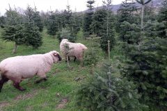 IMG_20230401_093222-min-scaled