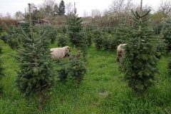 IMG_20230408_130136-min-scaled