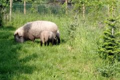 IMG_20230513_090053-min-scaled