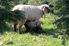 IMG_20230327_141359-1